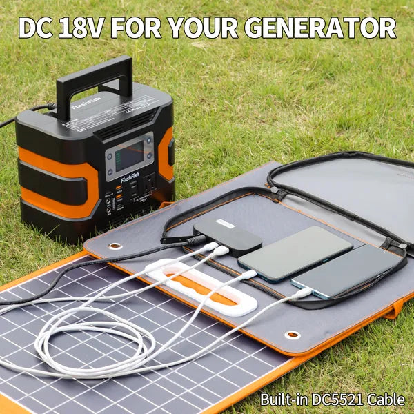 PowerToWithstand 100W Solar Panel